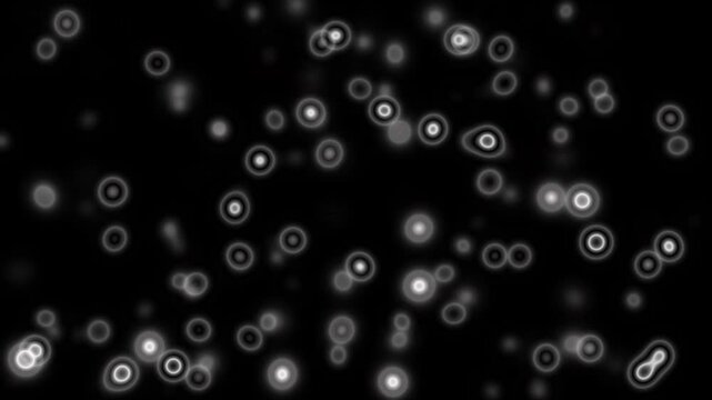 Tiny spherical particles forming clustered pattern in darkness with subtle glow and cinematic seamless looping motion
