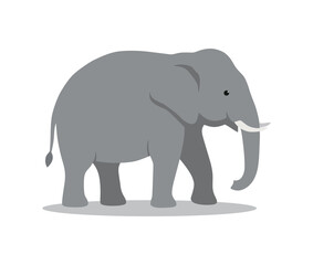 Obraz premium Flat vector illustration of a majestic gray elephant isolated on a clean white background. elephant in profile, showcasing its large ears, curved white tusks, a downturned trunk.