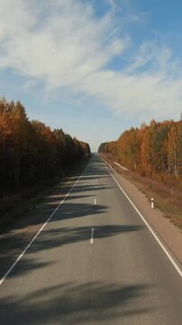 Forward view of an empty two lane asphalt road stretching to the horizon, lined with colorful autumn trees and clear sky, ideal for travel and transport concepts