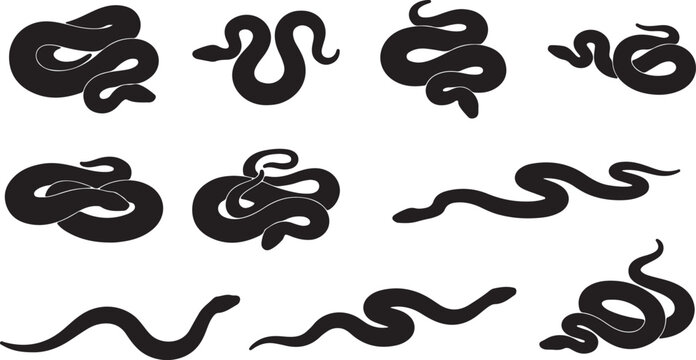 Set of black snake silhouettes in different poses and shapes on white background