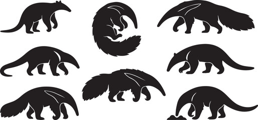 Obraz premium Collection of various anteater silhouettes on white background Animals