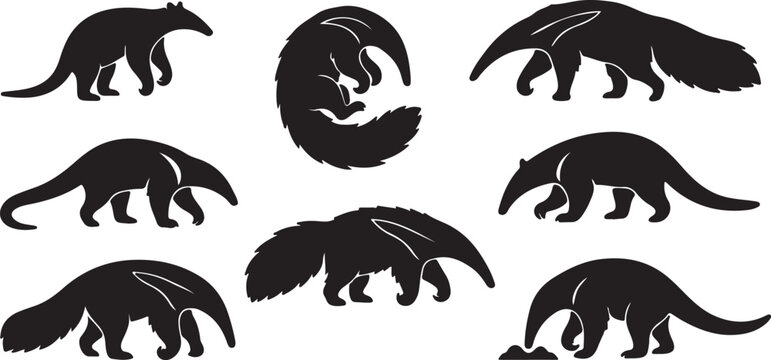 Collection of various anteater silhouettes on white background  Animals