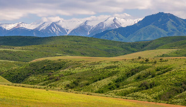 A picturesque landscape in the Dzungarian Alatau mountains in southeastern Kazakhstan on a summer day.