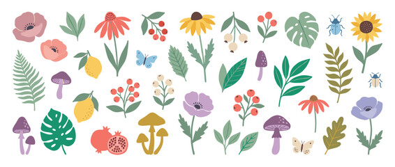 Obraz premium Nature elements icons set. Botanical garden plants and insects. Flowers, leaves, mushrooms, berries, fruits, butterfly, beetle. Flat cartoon style