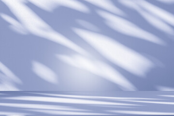 Wall interior background, studio and backdrops show products.with shadow from window color white...