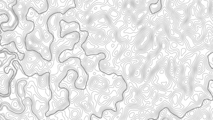 Topographic map background geographic line map with elevation assignments. Modern design with White background with topographic wavy pattern design © Mst