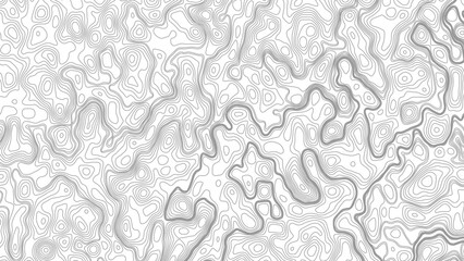 Topographic map background geographic line map with elevation assignments. Modern design with White background with topographic wavy pattern design © Mst