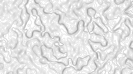Topographic map background geographic line map with elevation assignments. Modern design with White background with topographic wavy pattern design © Mst