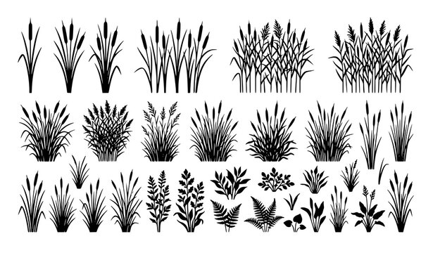 Cattail grass silhouette vector with marsh reed and riverbank plant elements