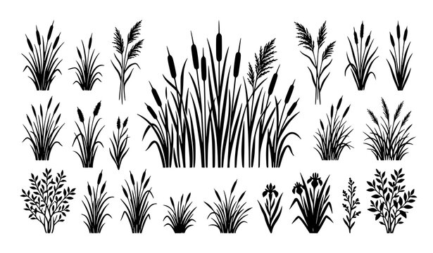 Wild cattail grass silhouette vector with swamp marsh and coastal reed plants