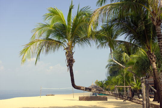 Go to Page
|12345...31Next
Angled palm tree on Kho Ko Khao Beach, Phang Nga, Thailand