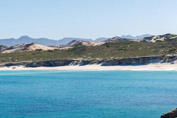 Fototapeta premium Sunny Atlantic coast in South Africa
