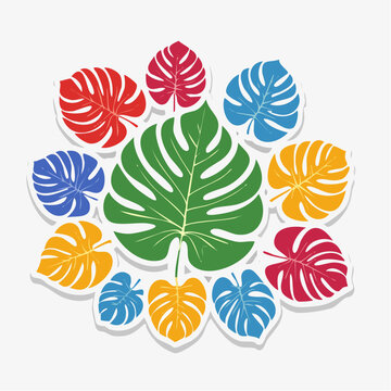 Colorful Monstera Leaves Arrangement