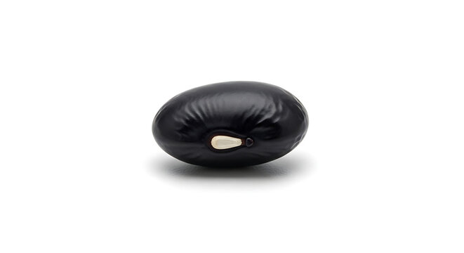 Close-up of a single dark black bean, a healthy legume ingredient, isolated on a clean white background