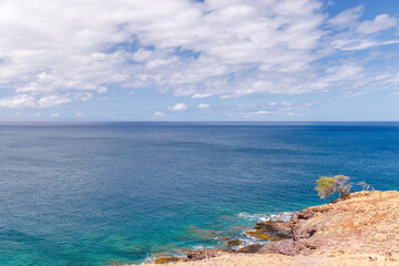 Fototapeta premium Beautiful Maui landscape in Hawaii