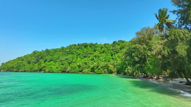 Aerial view of a dense, vibrant green coastal jungle meeting dark blue ocean water. A thin, rocky beach and white foamy waves separate the rugged terrain from the sea.concept nature	