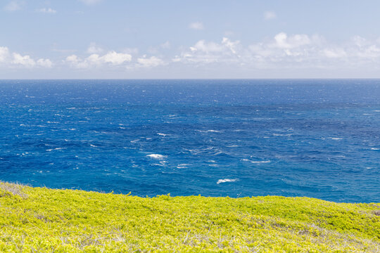 Sunny Hawaiian landscape with ocean and hills