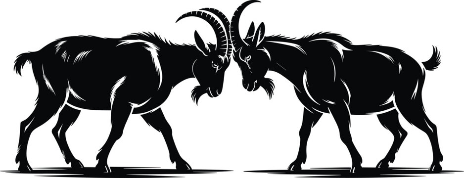 Modern mountain male goat sparring silhouette vector illustration isolated background