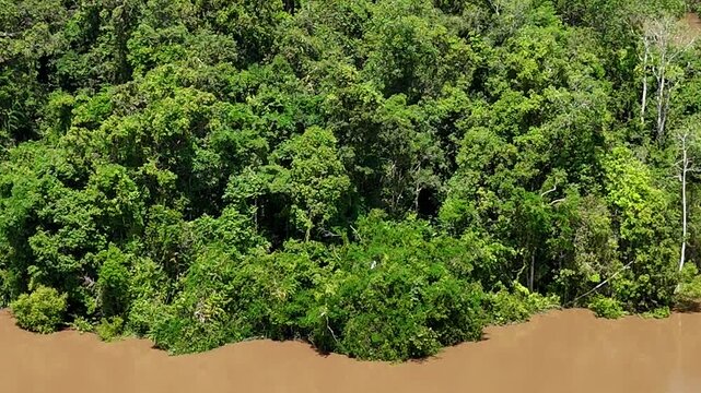 a muddy brown river winding through dense tropical rainforest under a partly cloudy blue sky,