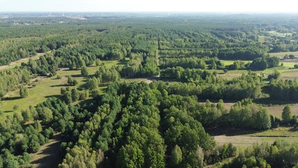 Aerial forest scene with vibrant fall tones © AlexGo