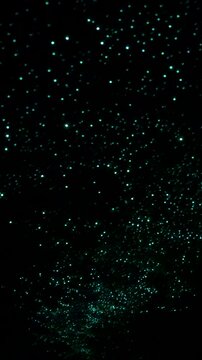 Glowworms shimmer like stars inside Waitomo Cave in New Zealand, vertical long exposure timelapse.