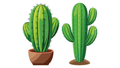 two cactus clipart vector illustration © Nayon
