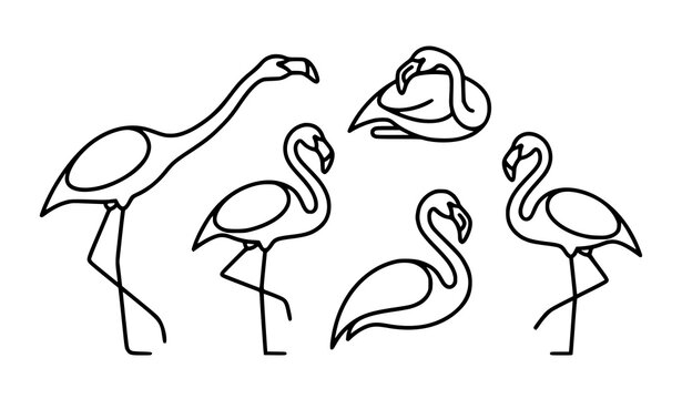 Minimal flamingo pose line icons and tropical bird illustrations vector