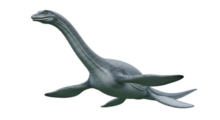 Fototapeta premium Majestic Plesiosaur swimming through clear blue prehistoric ocean water