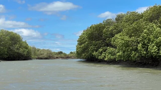 The mangrove forest of Khlong Khao Daeng in Khao Sam Roi Yot National Park, Prachuap Khiri Khan Province, Thailand.