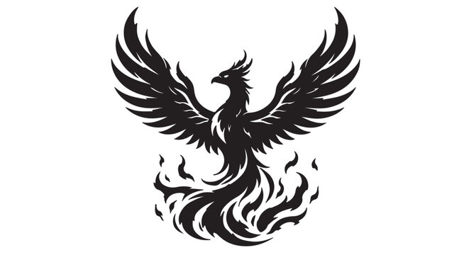 Elegant black phoenix silhouette rising with flame-inspired feathers, pure white background, premium fantasy vector illustration, modern monochrome style