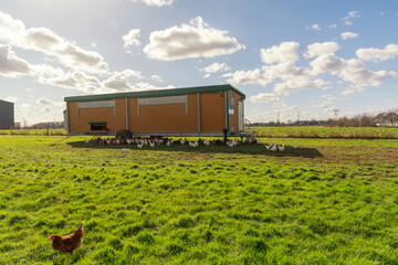 Large mobile chicken coop on pasture with free range hens, modern poultry farming and organic egg production in rural countryside concept. © leesle