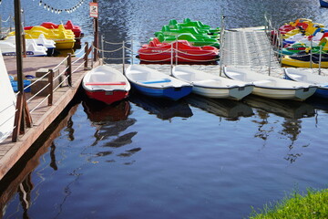 Obraz premium Colorful Paddle Boats Lined Up on a Dock with a Reflective Water Surface, Creating a Scenic Waterfront View