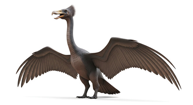 Prehistoric bird illustration with open wings, ancient creature digital art