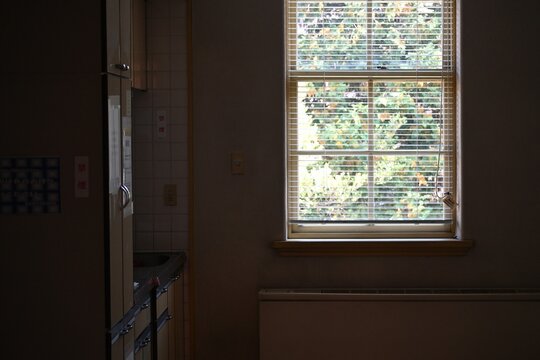 窓辺の光とクラシックな室内