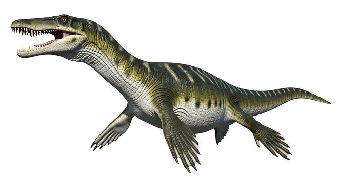 Isolated illustration of a prehistoric mosasaur dinosaur swimming in water