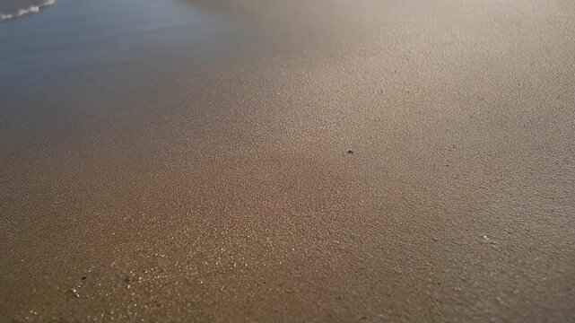 Close-up view of the serene boundary where gentle ocean waves meet sun-kissed, wet golden sand on a tranquil beach, creating a peaceful and reflective natural scene with subtle textures