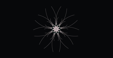 Obraz premium Complex starburst floral ornament with thin radiating curves on black background element.