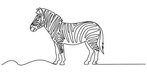 Continuous line drawing of a zebra © PULOK