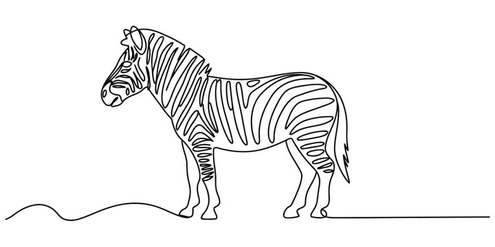 Continuous line drawing of a zebra