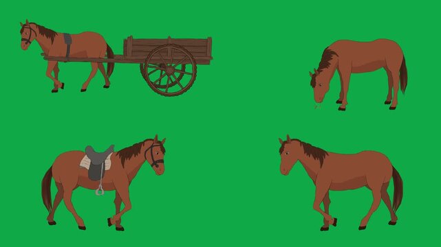 Horse, Cart, Wagon, Saddle 2d animated cartoon character on green screen chroma key background. High quality transport farm rural isolated illustration loop cycle vector animation compositing