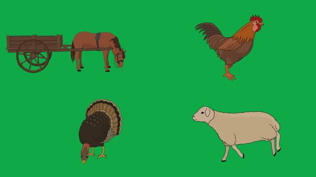 Horse, Wagon, Rooster, Turkey 2d animated cartoon character on green screen chroma key background. High quality mixed livestock rural isolated illustration loop cycle vector animation compositing