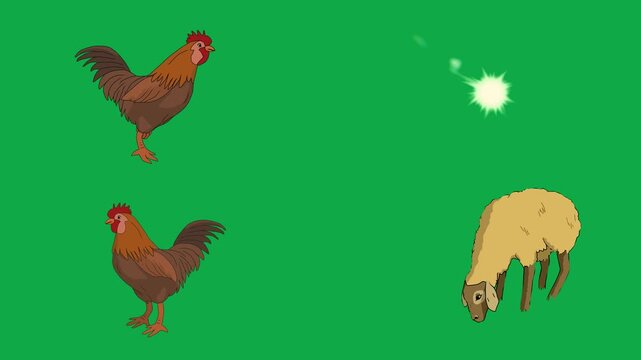 Rooster, Chicken, Sheep, Spark 2d animated cartoon character on green screen chroma key background. High quality farm animals magical isolated illustration loop cycle vector animation compositing
