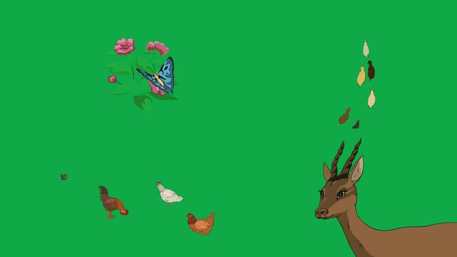Deer, Bird, Seed, Leaf 2d animated cartoon character on green screen chroma key background. High quality wildlife falling leaves isolated illustration loop cycle vector animation compositing