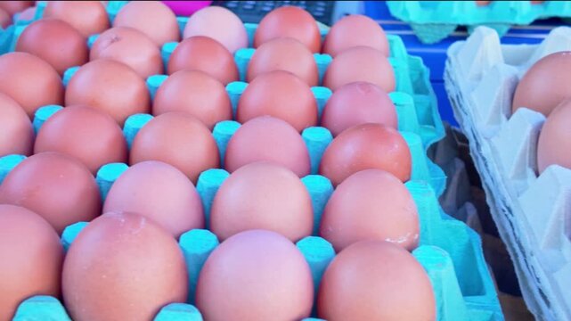 eggs in a row
