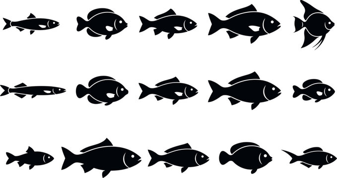 Black fish silhouette icon set featuring flat vector illustrations of various seafood species isolated on white background for fishing and restaurant logos