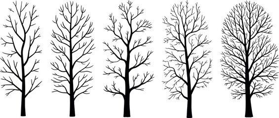 Bare Winter Tree Silhouettes Set of Black Deciduous Branch Clipart Elements Isolated on White Background for Silhouette Design © BIPUL