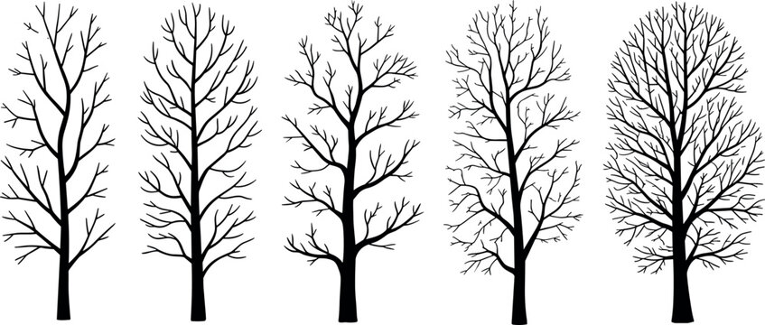 Bare Winter Tree Silhouettes Set of Black Deciduous Branch Clipart Elements Isolated on White Background for Silhouette Design
