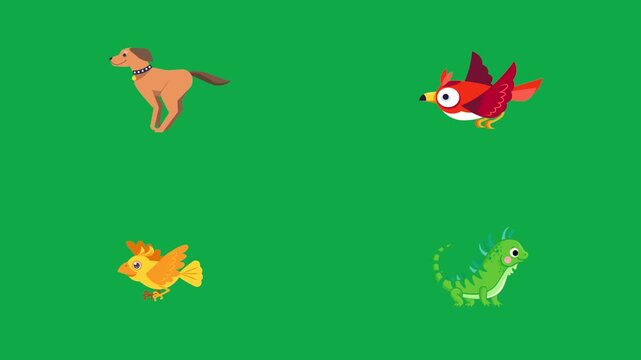 Dog Bird Chick Dragon animation on green screen chroma key background flat lighting no shadow flush edge isolated minimal animated character perfect compositing vfx asset high quality render video