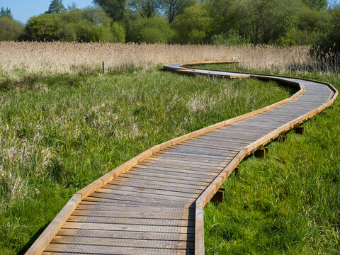 Winnall Moors Nature Reserve, Winchester, Hampshire, England, UK.