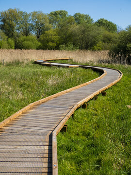 Winnall Moors Nature Reserve, Winchester, Hampshire, England, UK.